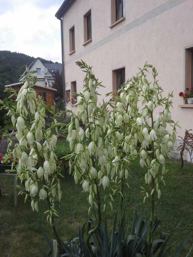 Ferienwohnung Buechsenhof Prossen 외부 사진